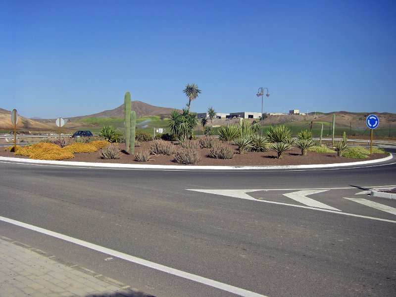 IMGP0725.JPG