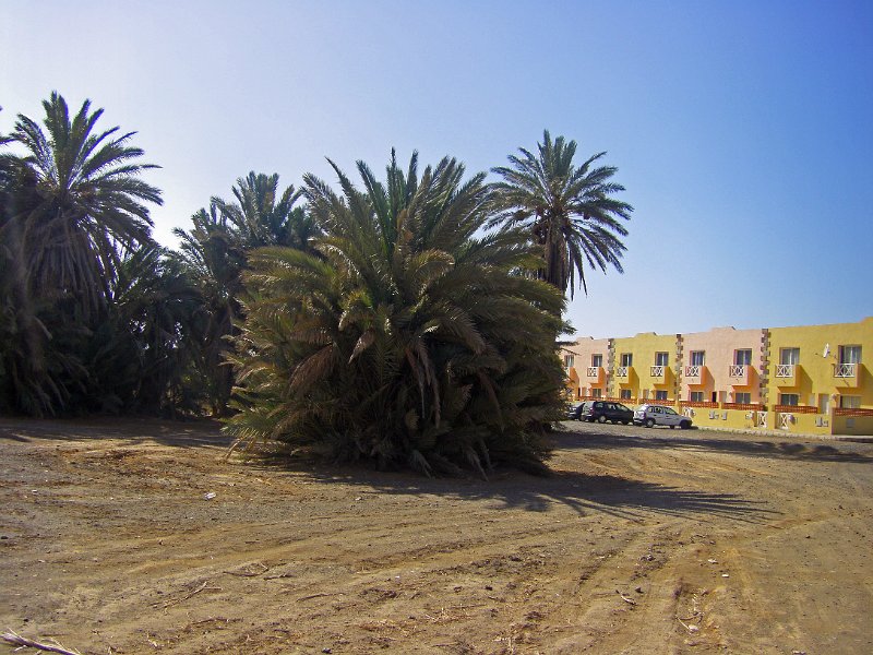 IMGP0742.JPG