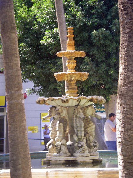 IMGP0801.JPG
