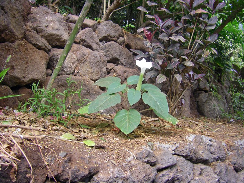 IMGP0928.JPG