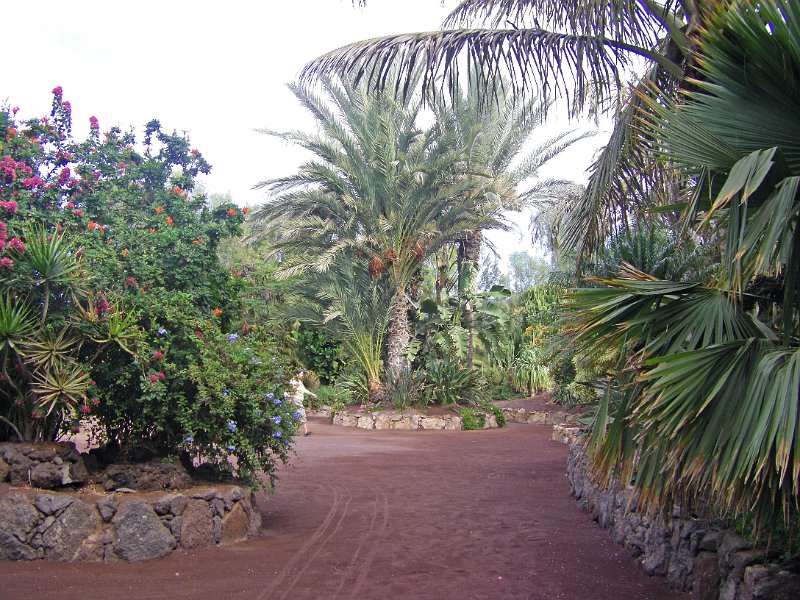 IMGP0929.JPG