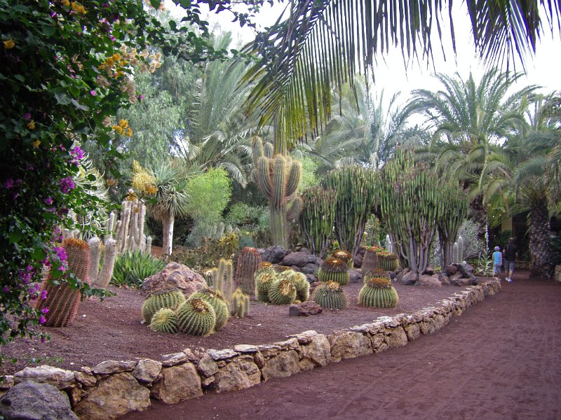 IMGP0932.JPG
