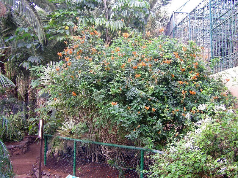 IMGP0941.JPG
