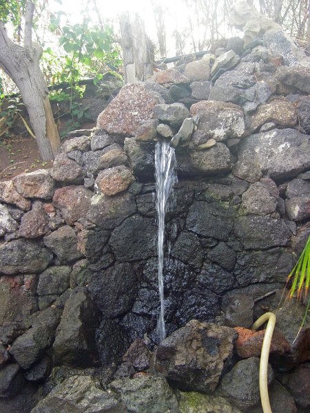 IMGP0944.JPG