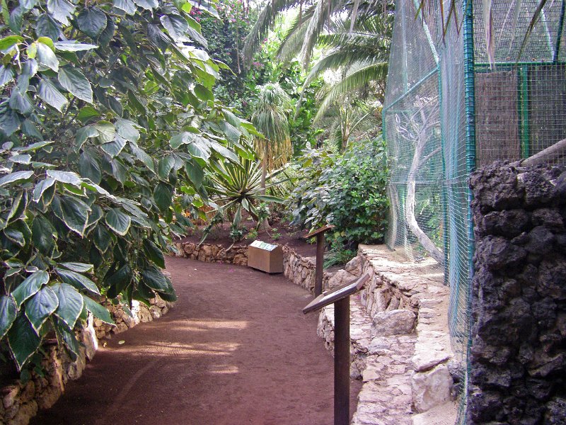 IMGP0945.JPG