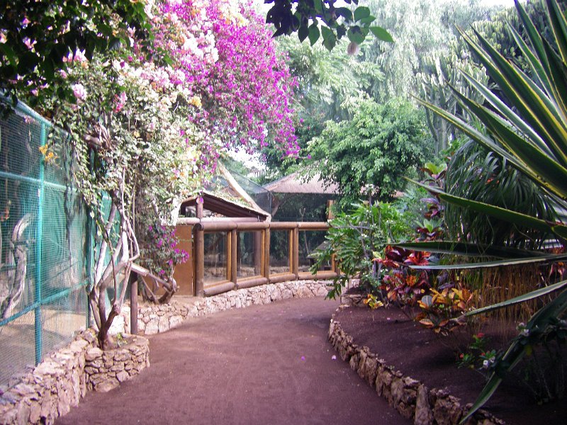 IMGP0946.JPG