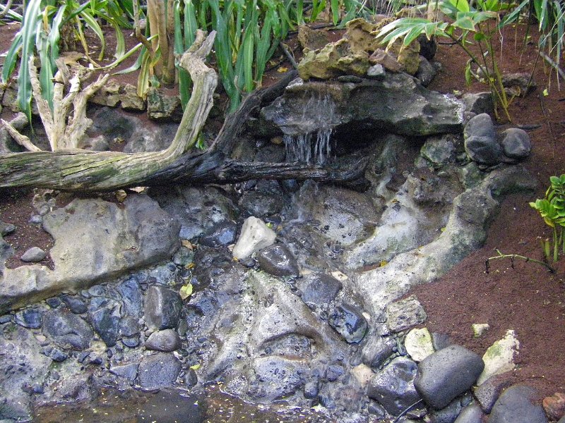 IMGP0956.JPG