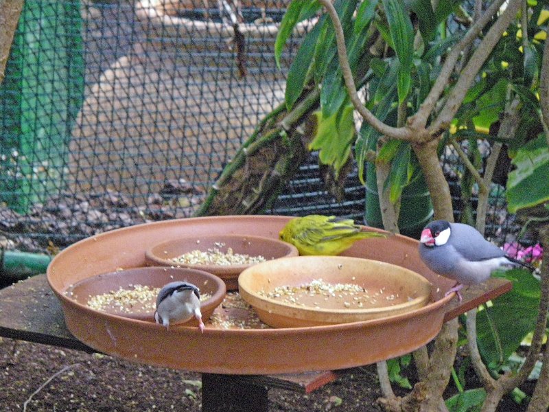 IMGP0961.JPG