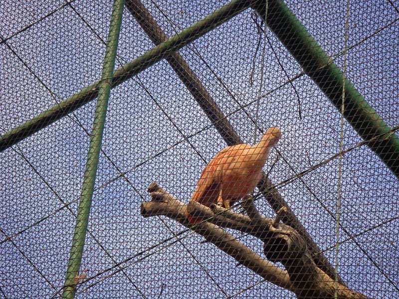 IMGP0969.JPG