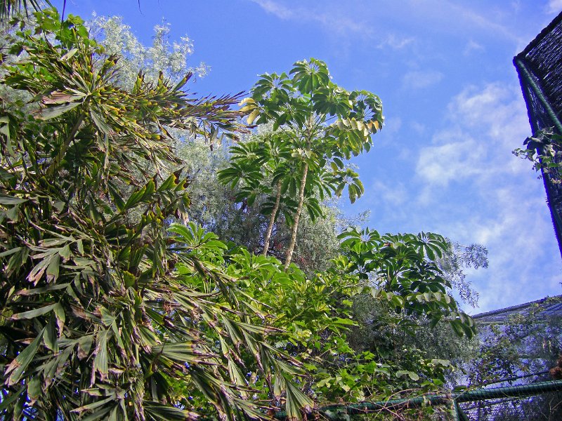 IMGP0974.JPG
