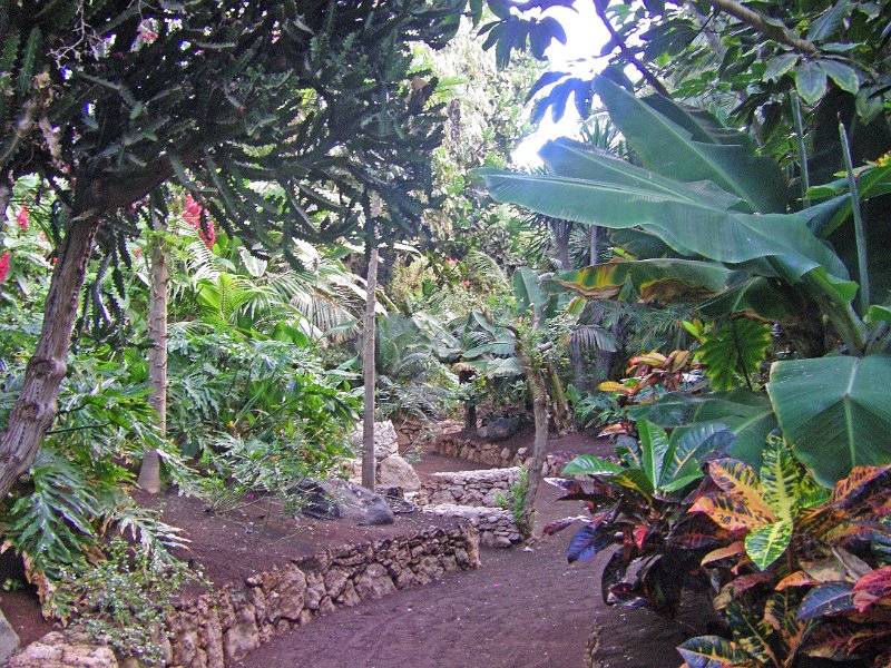 IMGP0975.JPG
