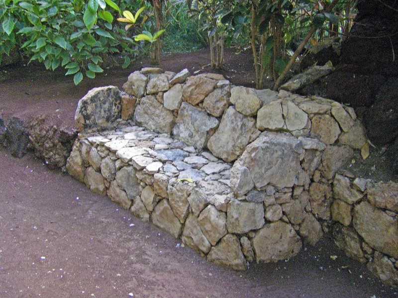 IMGP0978.JPG