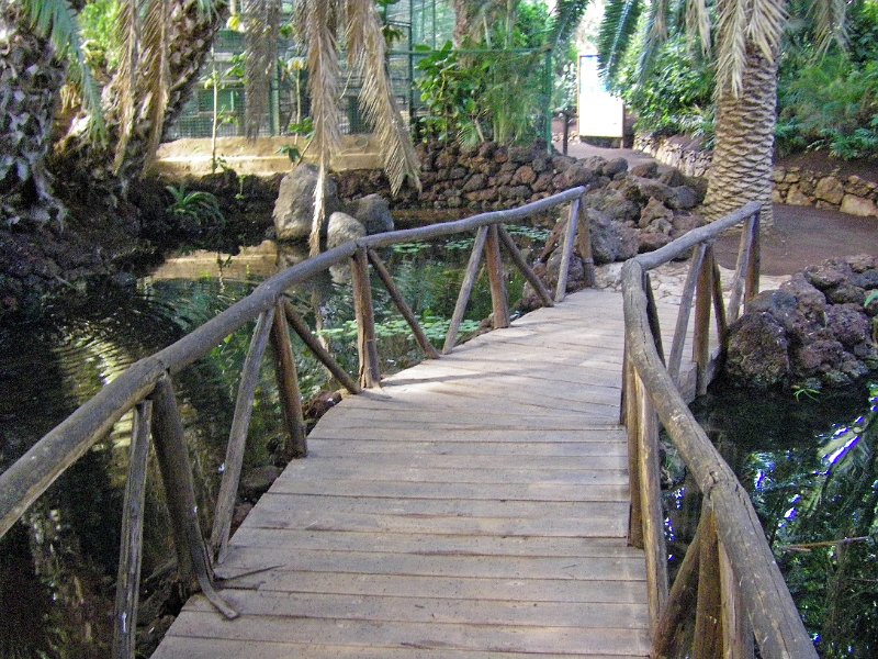 IMGP0980.JPG