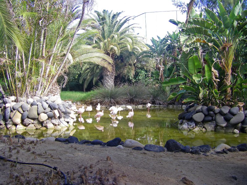IMGP0982.JPG