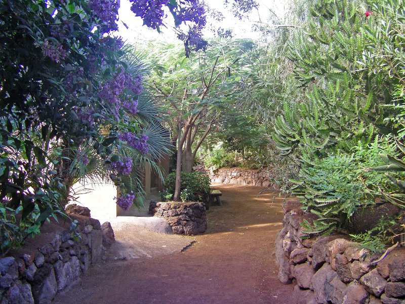 IMGP0986.JPG