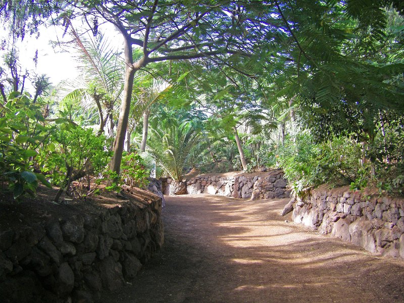 IMGP0987.JPG