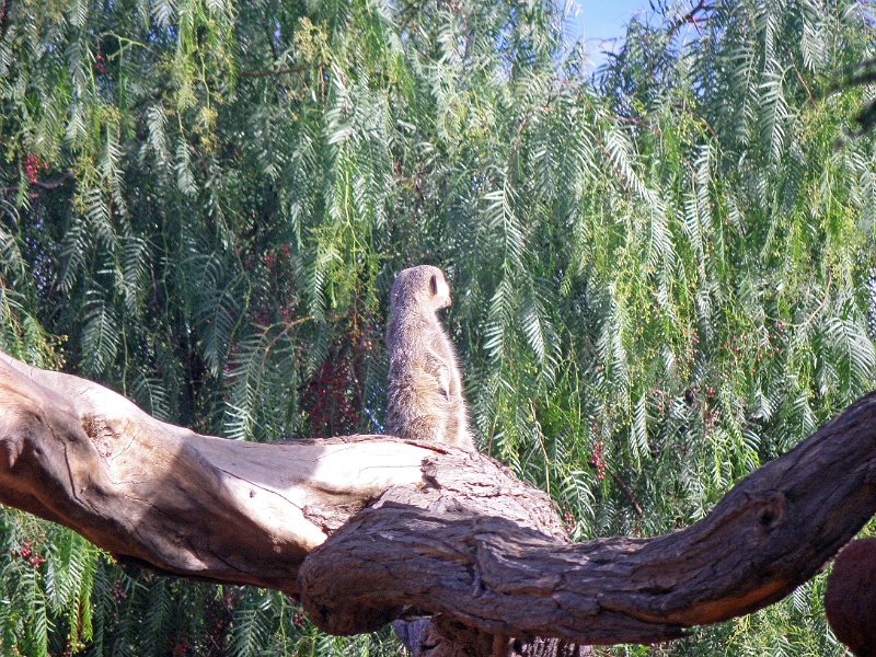 IMGP0989.JPG