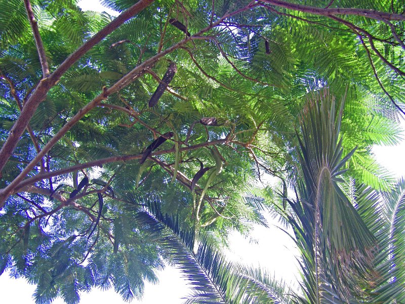 IMGP0992.JPG