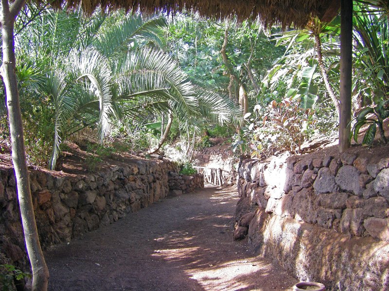 IMGP0994.JPG