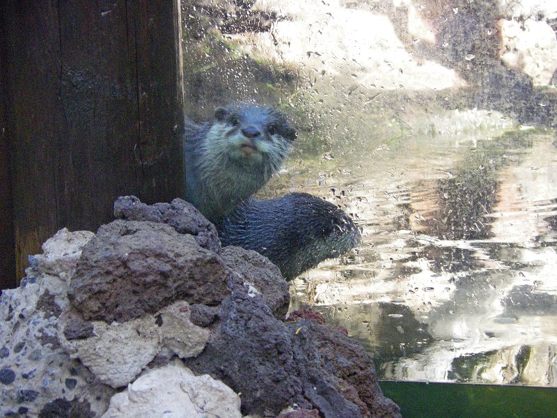 IMGP0999.JPG