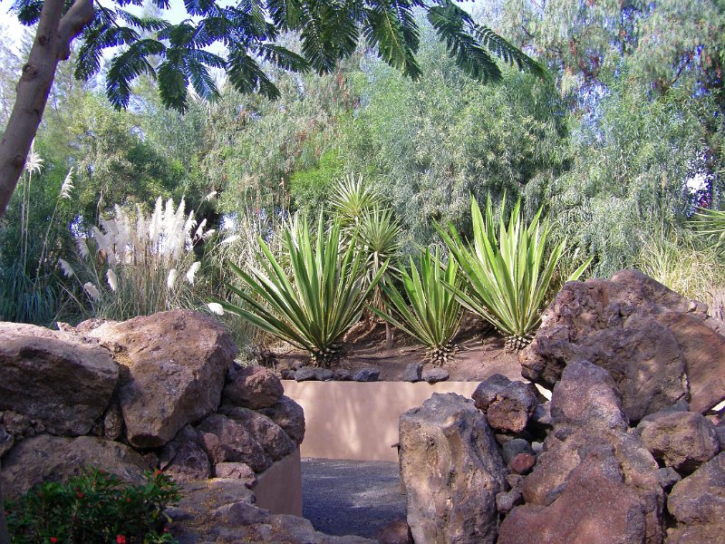IMGP1001.JPG