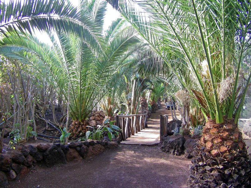 IMGP1002.JPG