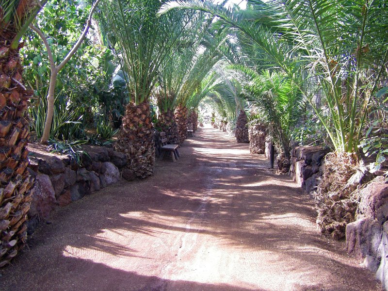 IMGP1011.JPG