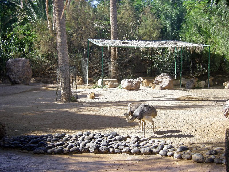 IMGP1013.JPG