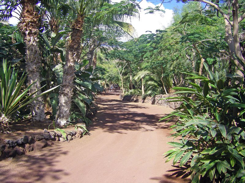 IMGP1020.JPG
