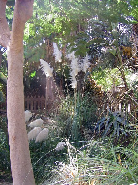 IMGP1022.JPG
