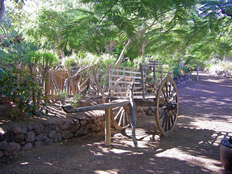 IMGP1025.JPG
