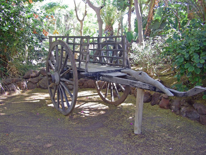 IMGP1026.JPG