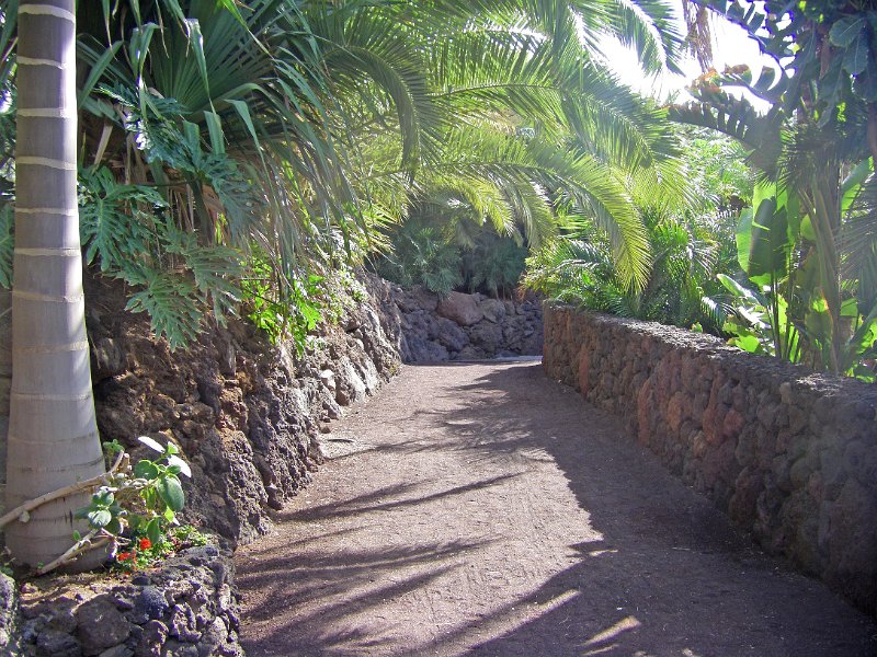 IMGP1029.JPG