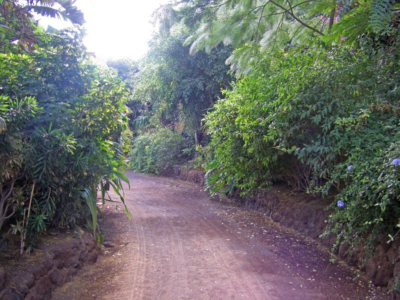 IMGP1034.JPG