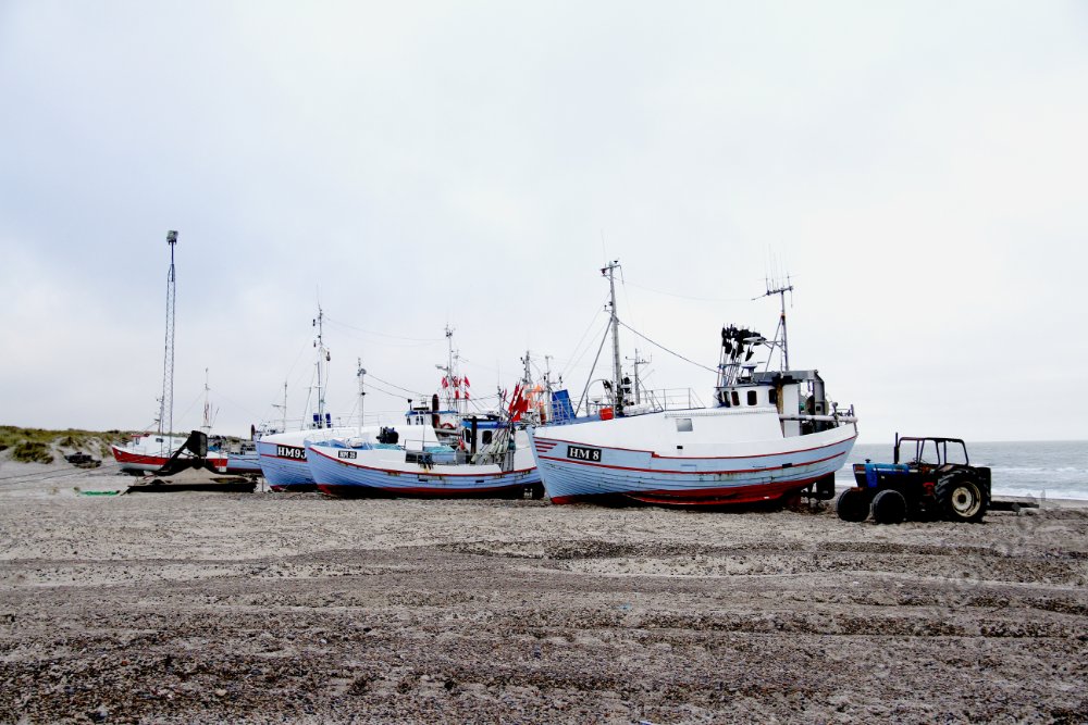 IMG_6734.JPG