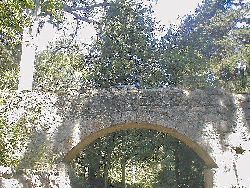 P6120160.JPG - Rodini park