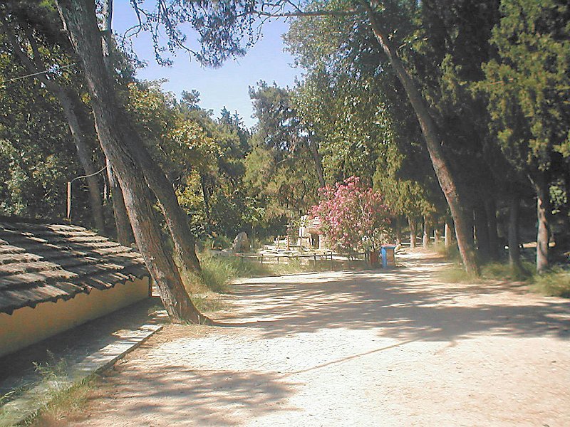 P6120170.JPG - Rodini park
