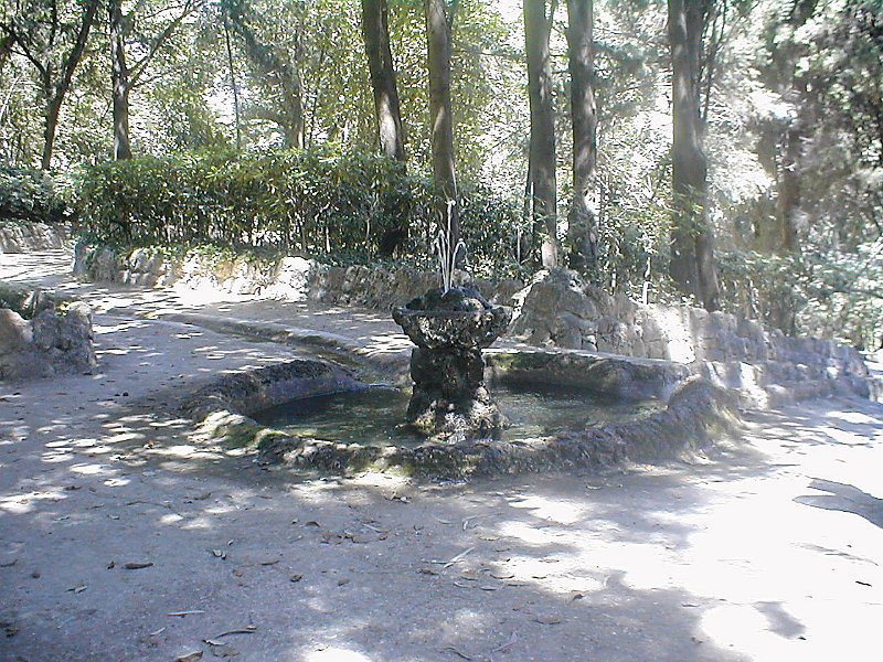 P6120206.JPG - Rodini park