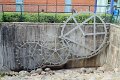 IMG_5187