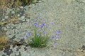 IMG_7187