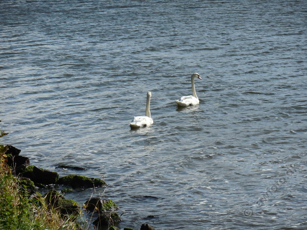 DSCN2694.JPG