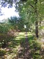 DSCN2641