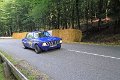IMG_0355