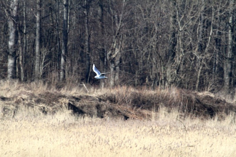 IMG_2480.JPG