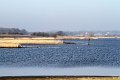 IMG_2420