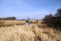 IMG_2438