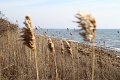 IMG_2460