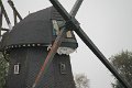 IMG_2555