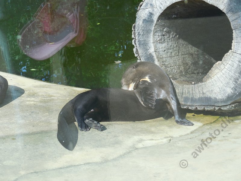 DSCN2473.JPG