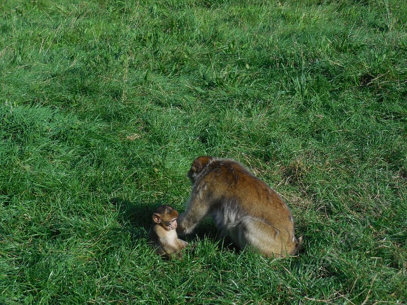 DSCN2487.JPG